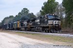 NS 9718